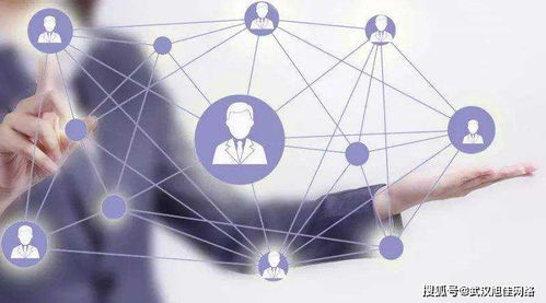 企業網站制作費用差異在哪里？深入解析互聯網上網服務的成本因素
